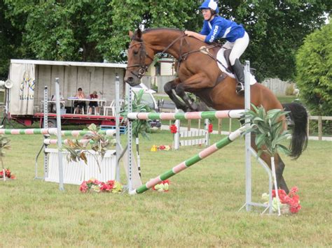 Free Images Show Jumping Hunt Seat English Riding Human Action
