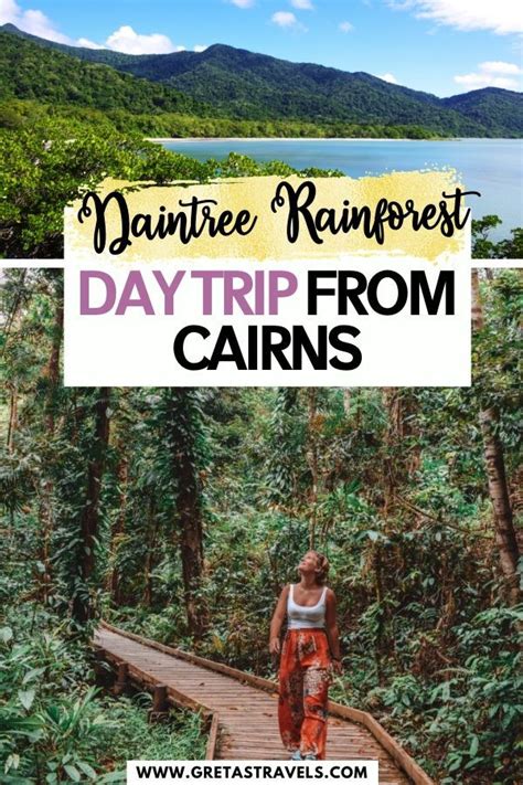 An Epic Daintree Rainforest Tour A Cape Tribulation Adventure