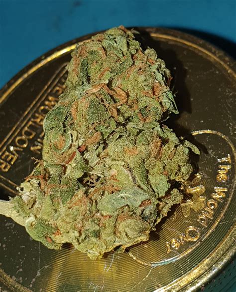 Super Skunk Outdoor | some dense 5G nugs in the bag here and there : r