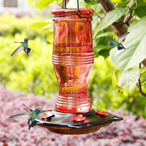 Juegoal Glass Hummingbird Feeders For Outdoors 26 Oz Wild Bird Feeder