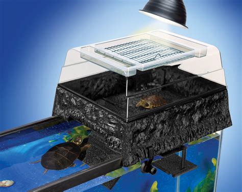 The Best Basking Platform For Turtles Jacob S Reptile Info