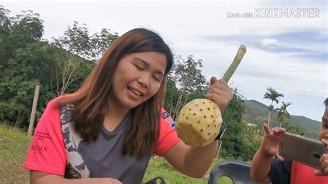 Proses pembibitan tanaman buah naga. Cara Potong Buah #Nanas - YouTube