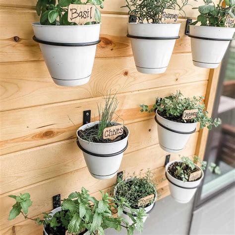 17 Hanging Herb Garden Ideas That Really Save Space