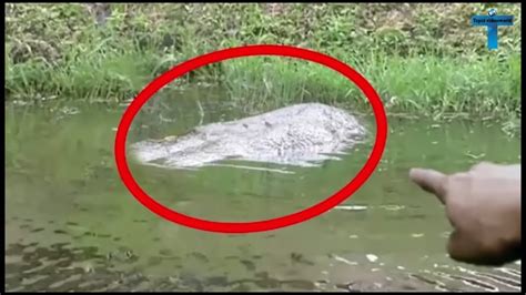 Top Strange Unbelievable Things Caught On Camera Youtube