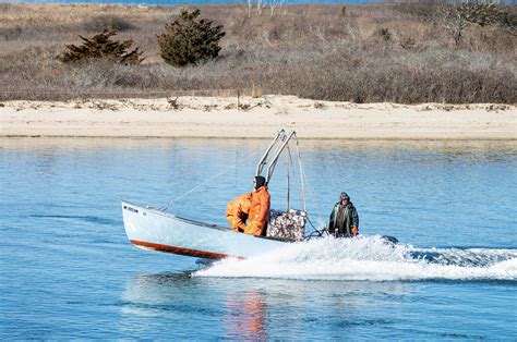 The Vineyard Gazette Marthas Vineyard News Banner Bay Scallop Year