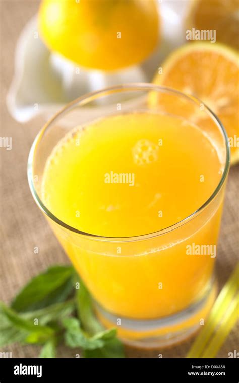 Freshly Squeezed Orange Juice With Mint Leaves Drinking Straws