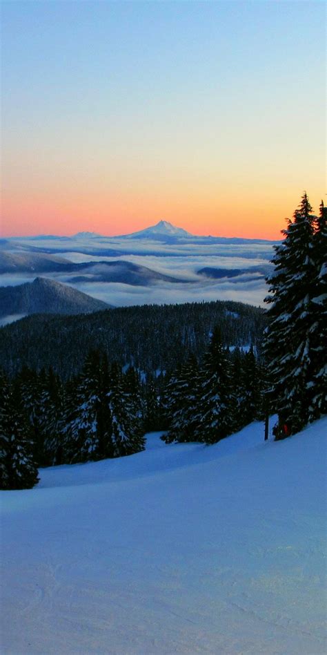 Download 1080x2160 Wallpaper Mount Hood Winter Sunrise Landscape
