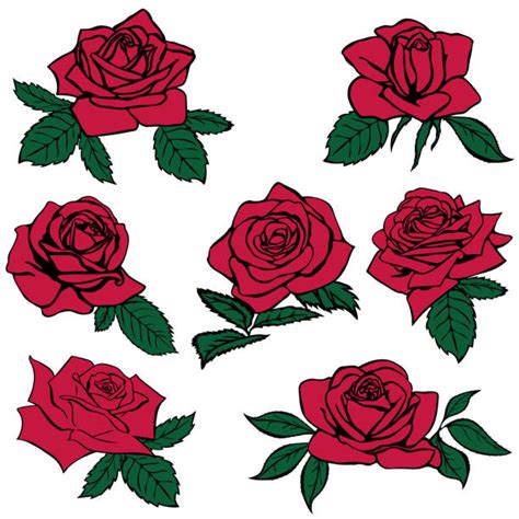 Rose Tattoo Stencil Drawings Illustrations Royalty Free
