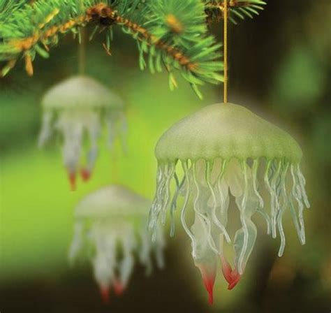 Be prepared for your next outdoor adventure. Jelly Fish Tree