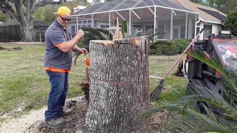 March 12 2020 How To Flush Cut A Table Top Stump For Customer To Set A