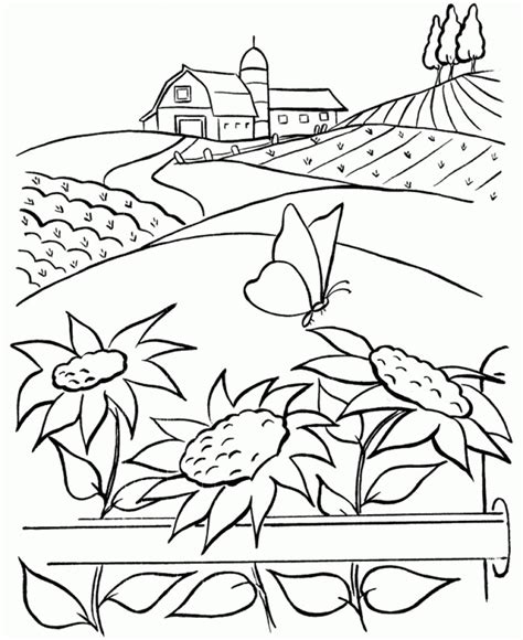 Nature Coloring Pages To Print