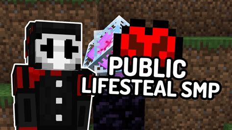 Public Lifesteal Smp Best Youtube