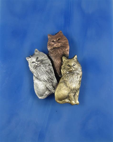 Kitten Brooch Cat Pin Cat Lover T Cat Rescue Mixed Etsy