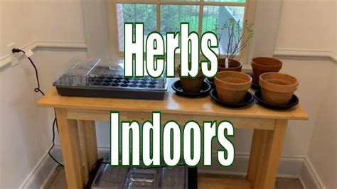 Growing Herbs Indoors For Winter And Cooking Youtube