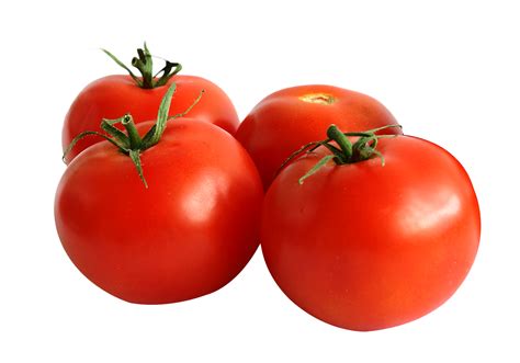 Tomato Png Image In High Definition 96614 1810x1264 Pixel