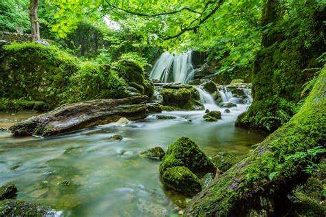 Waterfalls In Forest Background Wallpaper Computer