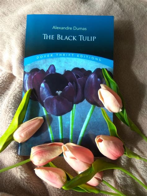 The Vince Review The Black Tulip By Alexandre Dumas