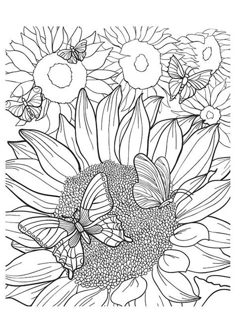 We did not find results for: Free Printable Sunflower Coloring Pages, Sunflower ...