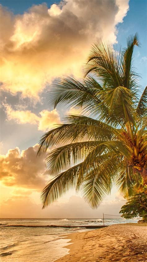Créez des fonds d'écran d'ordinateur clairs et inspirants grâce à la collection de modèles simples de canva que vous pouvez personnaliser et améliorer selon votre style et vos envies. Fonds d'écran Tropical, paradis, plage, palmiers, mer, océan, coucher de soleil 2560x1600 HD image
