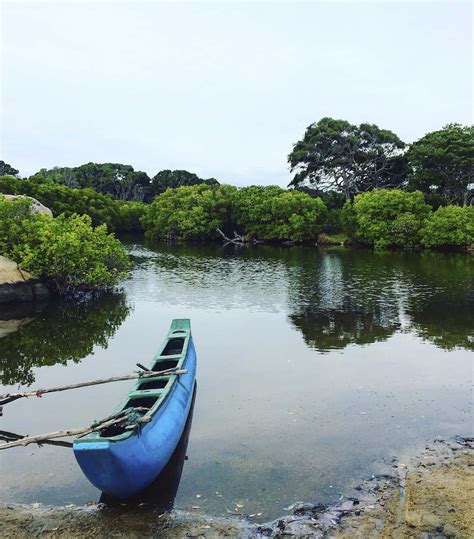 Las comodidades de los huéspedes incluyen: Croc Attack in Sri Lanka - 5 tips to stay safe at Elephant ...