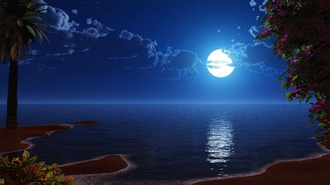 Tropical Beach Coast Full Moon Night Sky Scenery Night Sky