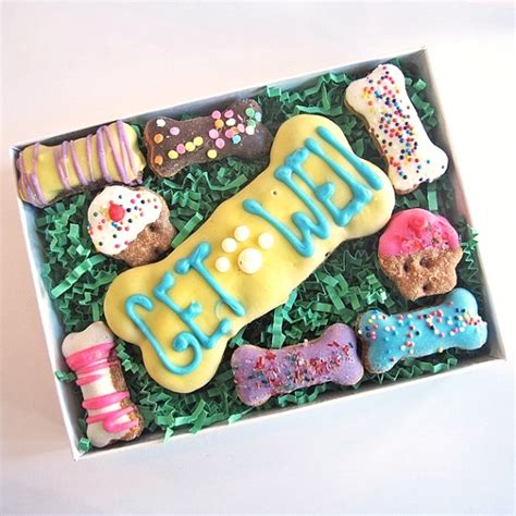 Order get well flowers and gifts from ftd. Get Well Gift Box for Dogs | Pampered Paw Gifts