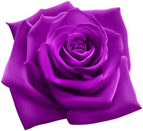 Violet Flower Png Free Download Png All Png All