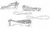Row Boat Line Drawing Images