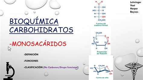 Carbohidratos Monosacaridos 1 Definición Funciones Y Clasificación