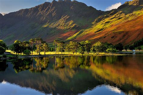 Flickrpq6xdhr The Buttermere Pines The Buttermere Pines