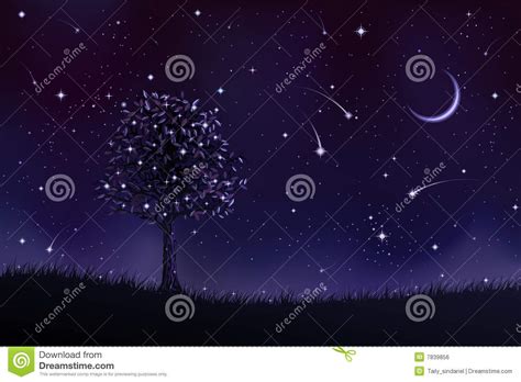 Lone Tree At Night Royalty Free Stock Image Image 7839856