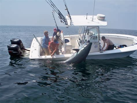 Photos de l encyclopédie Tuna fishing Saltwater fishing Salt water fishing