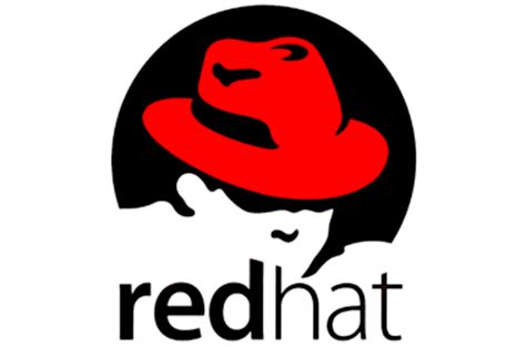 Confira O Detalhes Sobre O Red Hat Enterprise Linux 610