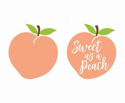 Peach Clip Sweet Georgia Clipart Mind Google