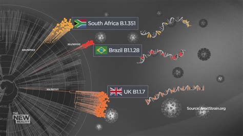 The emerging lambda variant has been popping up in the news as it spreads rapidly throughout south america. 'It's a forest fire': experts predict rise of COVID-19 ...