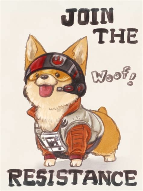 Anything For A Corgi Theyre Irresistible Star Wars Come To The Light