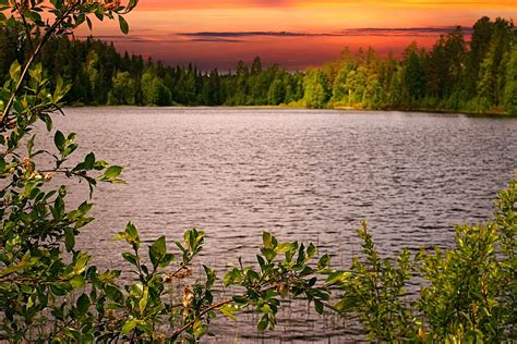 Lake Forest Sunset Free Photo On Pixabay Pixabay