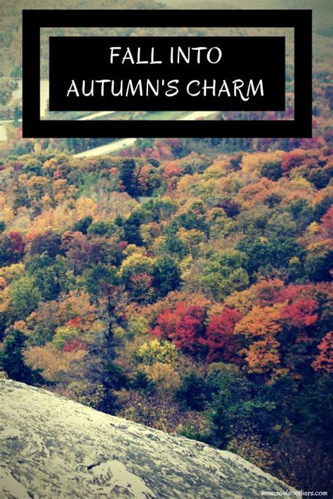 60 Autumn Quotes And Fall Quotes And Captions To Enchant And Deepen The
