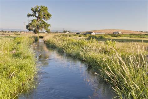 Irrigation Ditch In Colorado Stock Image Image Of Grass Green