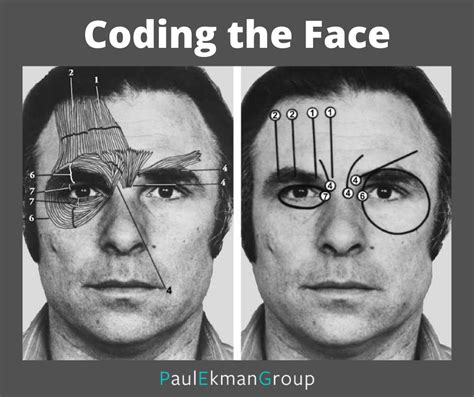 The History Of The Facial Action Coding System Facs By Paul Ekman