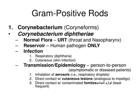 Ppt Chapter 10 Gram Positive Rods Powerpoint Presentation Free