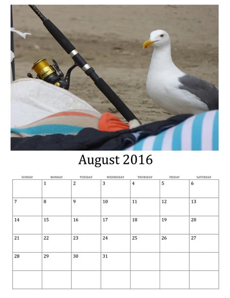 August 2016 Calendar Of Wild Birds Free Stock Photo Public Domain