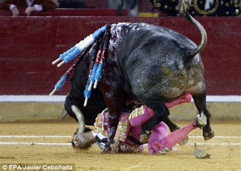 Return Of The Pirate Bullfighter Blinded In Goring To Fight Again