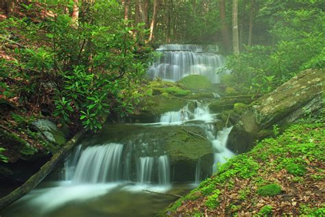 Free Images Nature Forest Waterfall Creek Hiking Leaf Moss