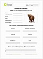Ein kostenloses Arbeitsblatt zum Thema Bären, auf dem die Schüler einen ...