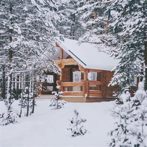 Pin By Mackenzie Fryden On Aesthetic Winter Cabin Snowy Woods