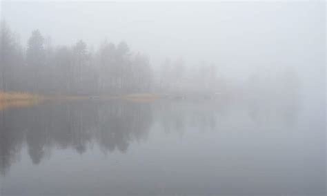 A Foggy Day In Skelleftehamn › Way Up North
