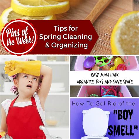 Tips For Spring Cleaning And Organizing Pins Of The Week Dishes