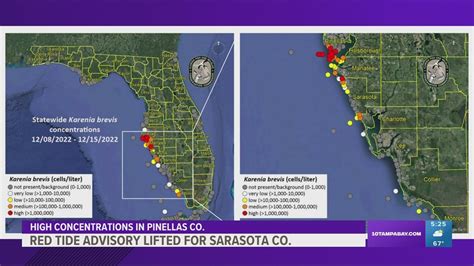 Red Tide Advisory Lifted For All Sarasota County Beaches