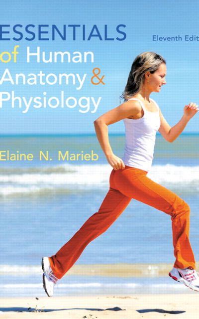 Book Review Essentials Of Human Anatomy And Physiology 11th Edition